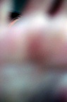 DSC03060